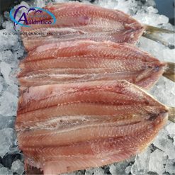 SARDINHA em Filé