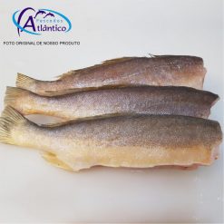 PESCADA Branca SEM CABEÇA