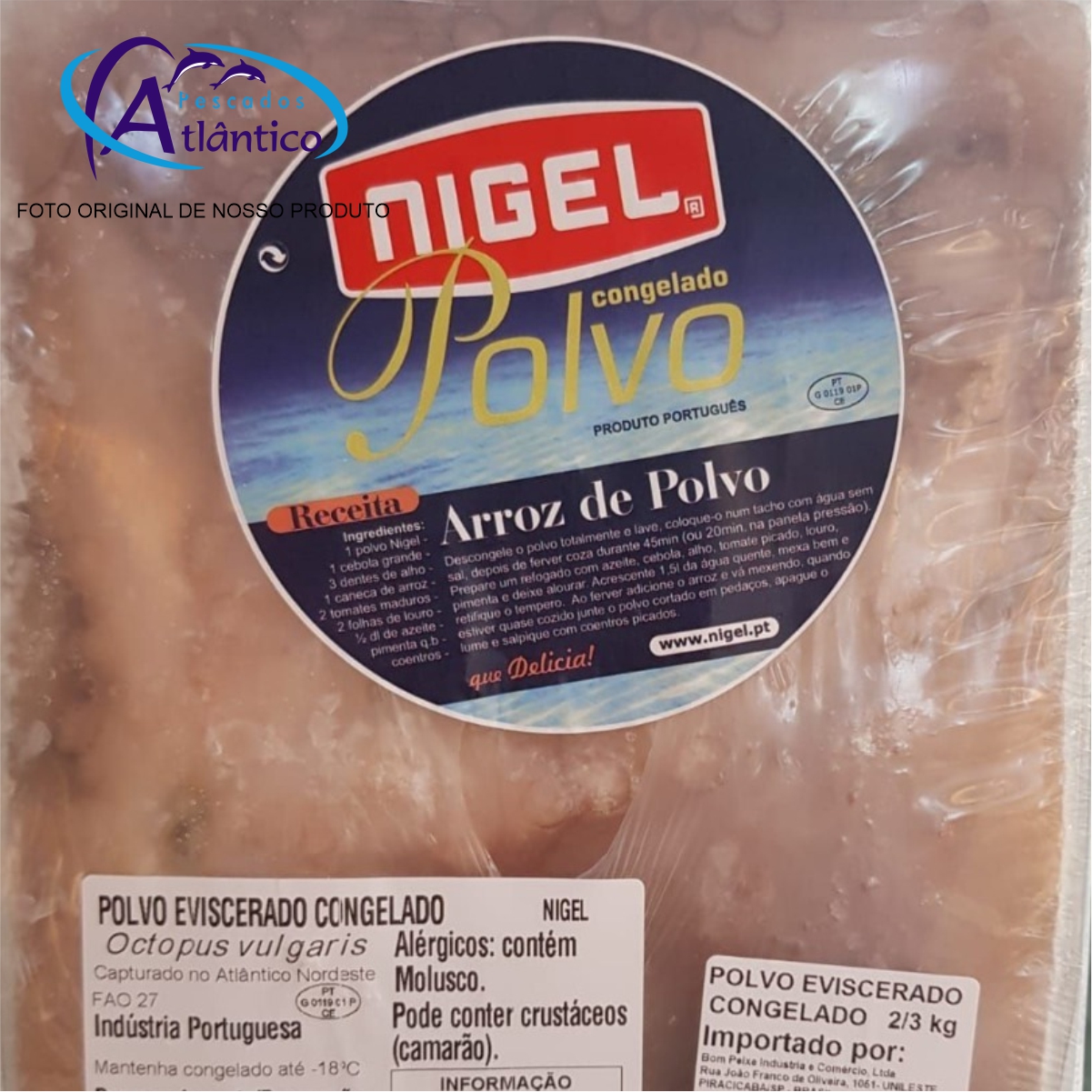 POLVO PORTUGUÊS Grande (G)